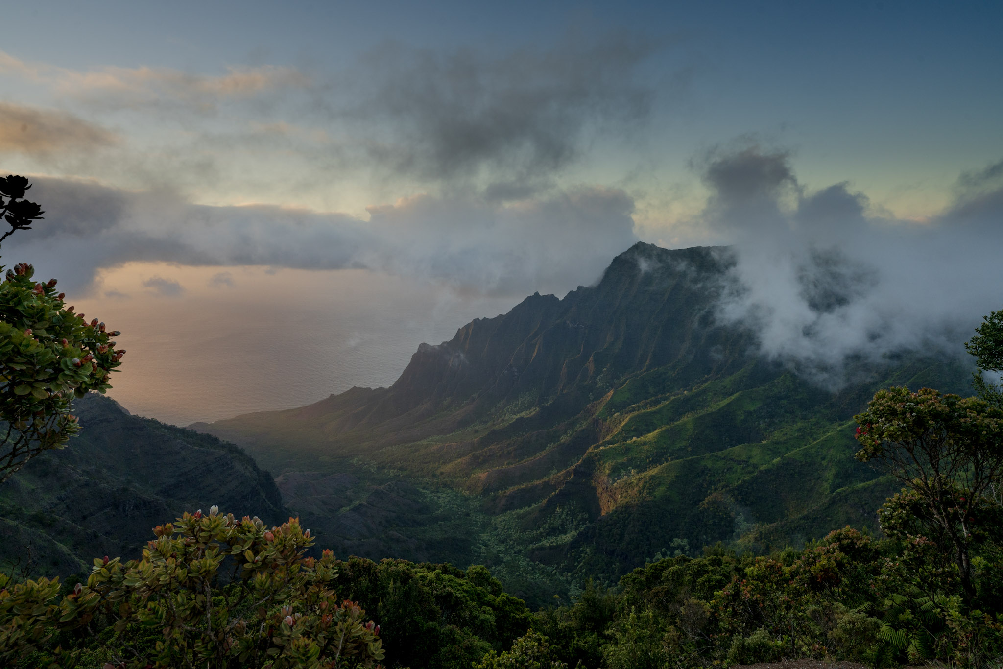 Viewpoint